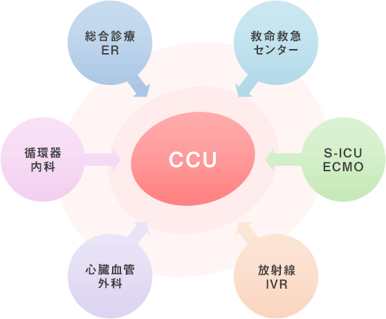 診療体制