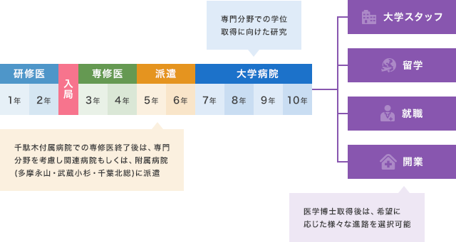 標準的なキャリアパス