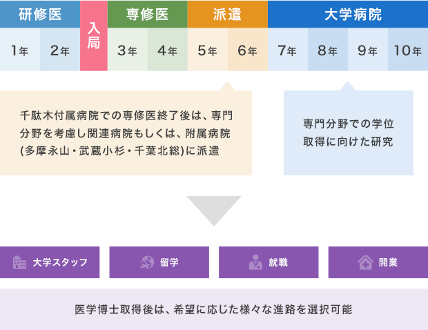 標準的なキャリアパス